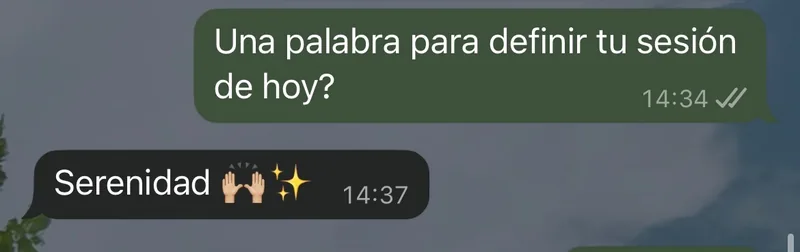 Mensaje de WhatsApp: una palabra para definir su sesión: serenidad