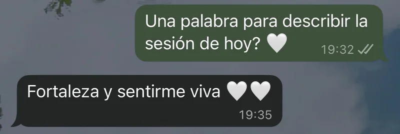 Mensaje de WhatsApp: una palabra para describir la sesión: fortaleza y sentirse viva