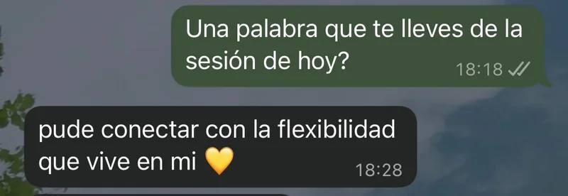 Mensaje de WhatsApp: pudo conectar con la flexibilidad que vive en ella