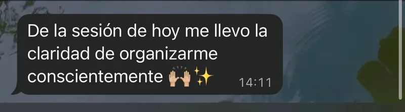 Mensaje de WhatsApp: de la sesión se lleva la claridad de organizarse conscientemente